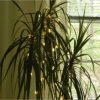 Lumabase Set of 2, 40 White Crystal Ball Mini String Lights - Image 6