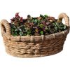 Campania International Provencal Basket Planter