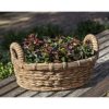 Campania International Provencal Basket Planter - Image 3
