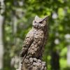 Campania International Large Horned Owl Garden Statue - Image 2