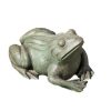 Campania International Woodland Frog Garden Statue