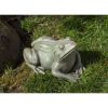 Campania International Woodland Frog Garden Statue - Image 3
