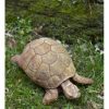 Campania International Turtle Garden Statue - Image 3