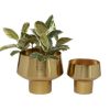 Decorative Metal Cup Shaped Planters with High Shine Finish, Set of 2