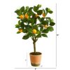24" Lemon Artificial Tree - Image 2