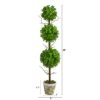 3' Eucalyptus Triple Ball Topiary Artificial Tree - Image 2