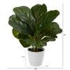11" Fiddle Leaf Artificial Plant in Planter, Real Touch - Image 2