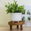 Flora Bunda Footed Wood Plant Stand, Set of 2 - Image 3
