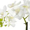 Nearly Natural Phalaenopsis Flower Arrangement - Image 2