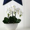 Nearly Natural Phalaenopsis Flower Arrangement - Image 5