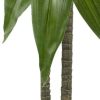 Nearly Natural 43" Dracaena Real Touch Plant - Image 4