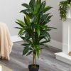 Nearly Natural 43" Dracaena Real Touch Plant - Image 7