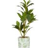 Coastal Bay Laurel Artificial Plant, 16.2" - Image 2