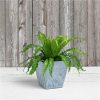 Novelty 35080 Ella Square Planter Gray 8 inch - Image 2