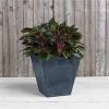 Novelty ArtStone Novelty 35188 Square Ella Planter/Flower Pot, Black, 18 - Image 2