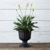 Novelty Outdoor Classic Urn, Flower Planter/Pot, Plastic, Black, 14" (Pack of 1) - Image 2