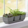 Novelty (10010) Herb Trio with Attached Tray, 12" x 14" - Image 2