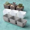 Novelty 10013 Herb & Succulent Trio Planter/Flower Pot, Taupe, 12" - Image 2