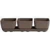 Novelty 10013 Herb & Succulent Trio Planter/Flower Pot, Taupe, 12"