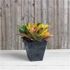 Novelty Resin Plastic Square Ella Black Planter/Flower Pot, 16" - Image 3