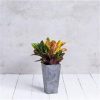 Novelty 35270 Artstone Ella Tall Square Planter Grey - Image 3
