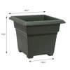 Novelty Earthbox Root & Veg Garden Kit - Image 3