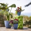 Bloem Dayton Recycled Ocean Plastic Planter w/ Saucer , Ocean Blue, 8 inches - Image 3