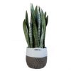 Bloem BloemBagz Round Fabric Planter Bag with Handles and Liner, Black/White 10inches - Image 2