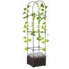 Flower  Vine Plant Box  Climbing Vine Bars w/ Drainage, Steel Frame