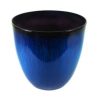 Gardener's Select Egg Shaped Indoor/Outdoor Flower Box, Blue Flower - Image 3