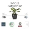 Ecopots Rotterdam Indoor and Outdoor Square Planter, 12in - Image 4