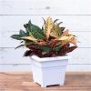 Novelty Countryside Square Tub Planter White 14 Inch - Image 3