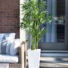 Nearly Natural 5' Bamboo UV - Image 9