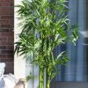 Nearly Natural 5' Bamboo UV - Image 10