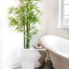 Nearly Natural 5' Bamboo UV - Image 12