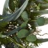 Nearly Natural 24" Eucalyptus & Mixed Greens Artificial Wreath - Image 3