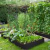 Outsunny Raised Garden Bed, Galvanized Elevated Planter Box with 2 Customizable Trellis Tomato Cages, Reinforced Rods, Elevated & Metal for Climbing Vines, 5.9' x 3' x 1', Black - Image 3