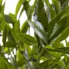 Nearly Natural 42" Bay Leaf UV - Image 3
