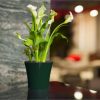Decopots Plastic Round Modern Flower Pot with Drainage Planter, 8.5in - Image 2