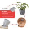Ecopots Venice Indoor and Outdoor Planter with Water Reservoir, 12in - Image 2