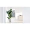 Ecopots Venice Indoor and Outdoor Planter with Water Reservoir, 12in - Image 3