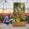 Planter Raised Bed with Trellis for Plant Flower Climbing - Image 9
