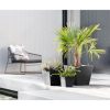 Ecopots Rotterdam Indoor and Outdoor Square Planter, 12in - Image 2