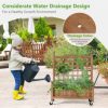 32in Wood Planter Box with Trellis Mobile Raised Bed for Climbing Plant - Image 2