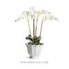 Mirabelle Fluted Cachepot Large