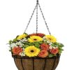 Sorbus Hanging Planter Baskets W/Coco Liner (4 - Image 9