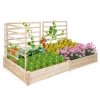 Raised Garden Bed with 3 Trellises with Divided Compartments for Flowers