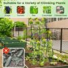 Slickblue 74 Inch Tall Garden Trellis for Flower Vine Vegetable Fruit Pea - Image 6