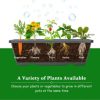 4 FT Vertical Raised Garden Bed 5 - Image 5