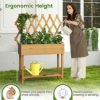 SKONYON Wooden Rolling Raised Garden Bed with Trellis and Storage Shelf - Image 9